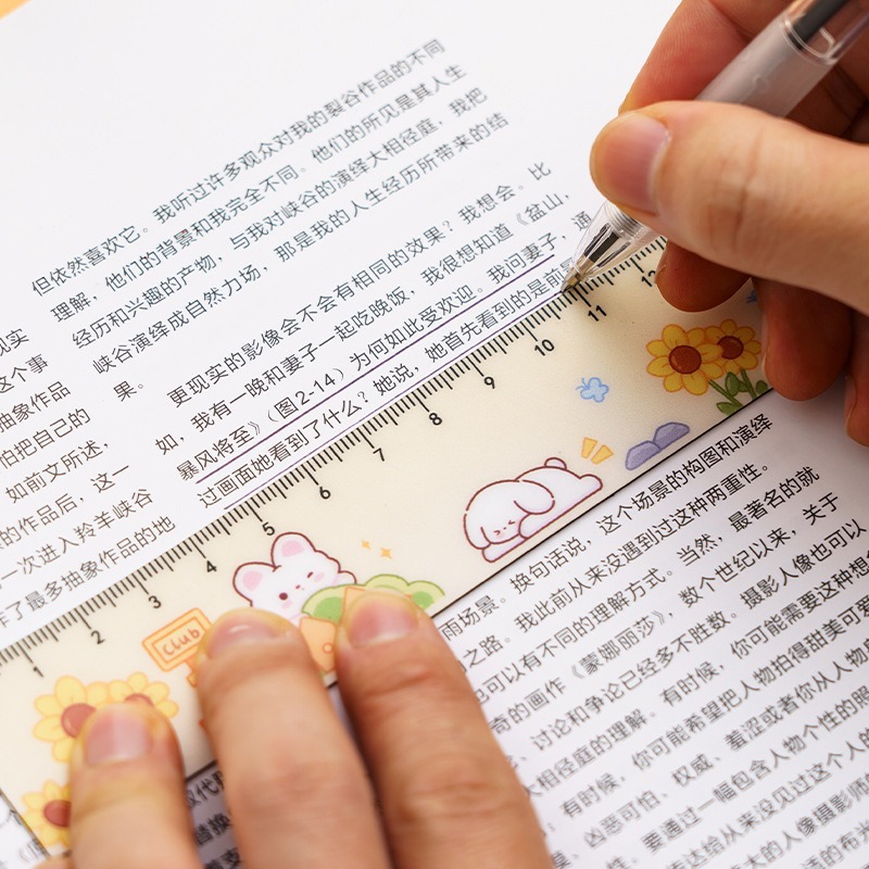 Multifunctional Magnetic Soft Ruler